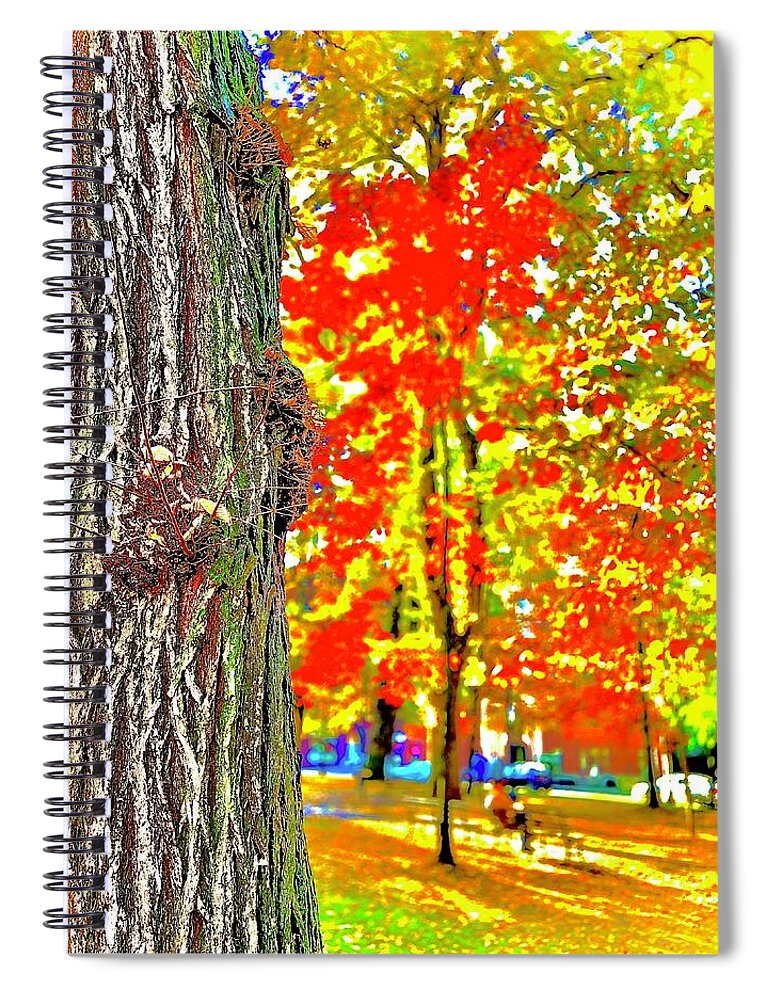 Experimental Spiral Notebook featuring the photograph Abstraction of FAll #1 by Michael Oceanofwisdom Bidwell