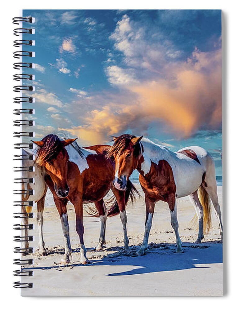 Assateague Spiral Notebook featuring the photograph Assateague Island, ponies by Louis Dallara