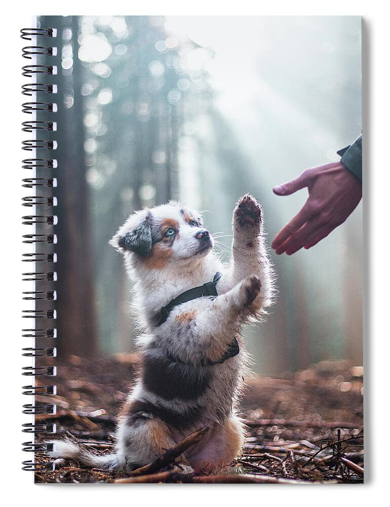 Breed Spiral Notebook featuring the photograph Australian Shepherd puppy by Vaclav Sonnek