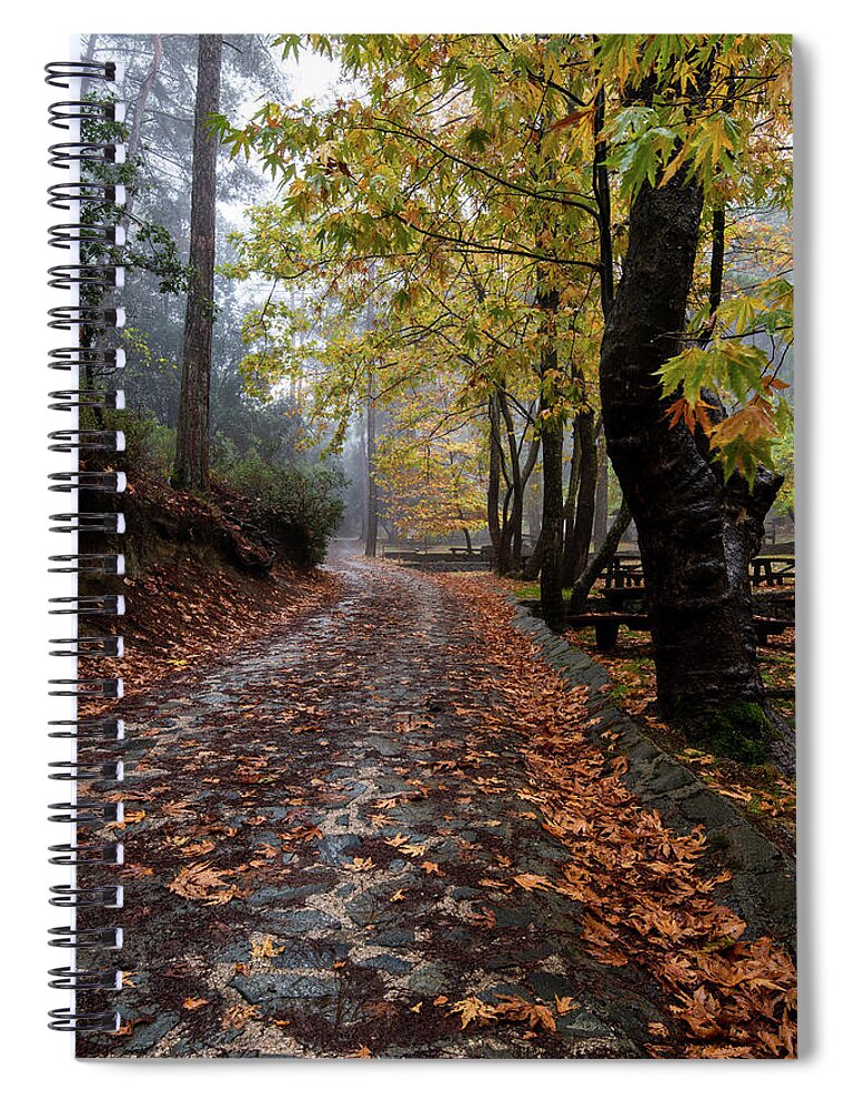 Autumn Spiral Notebook featuring the photograph Autumn landscape with trees and Autumn leaves on the ground after rain by Michalakis Ppalis