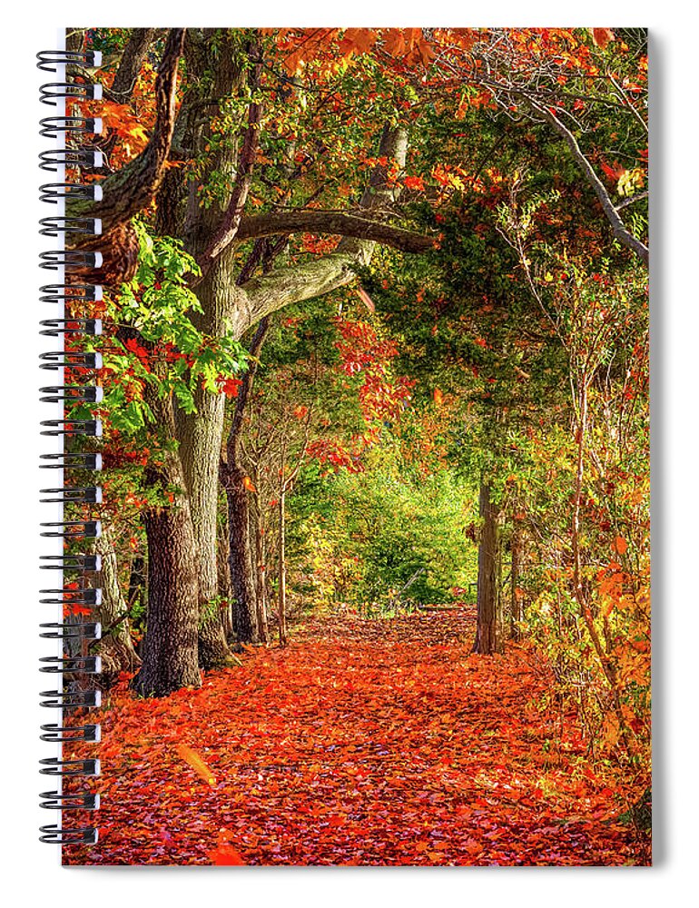 Autumn Spiral Notebook featuring the photograph Autumn Path #1 by Sean Mills
