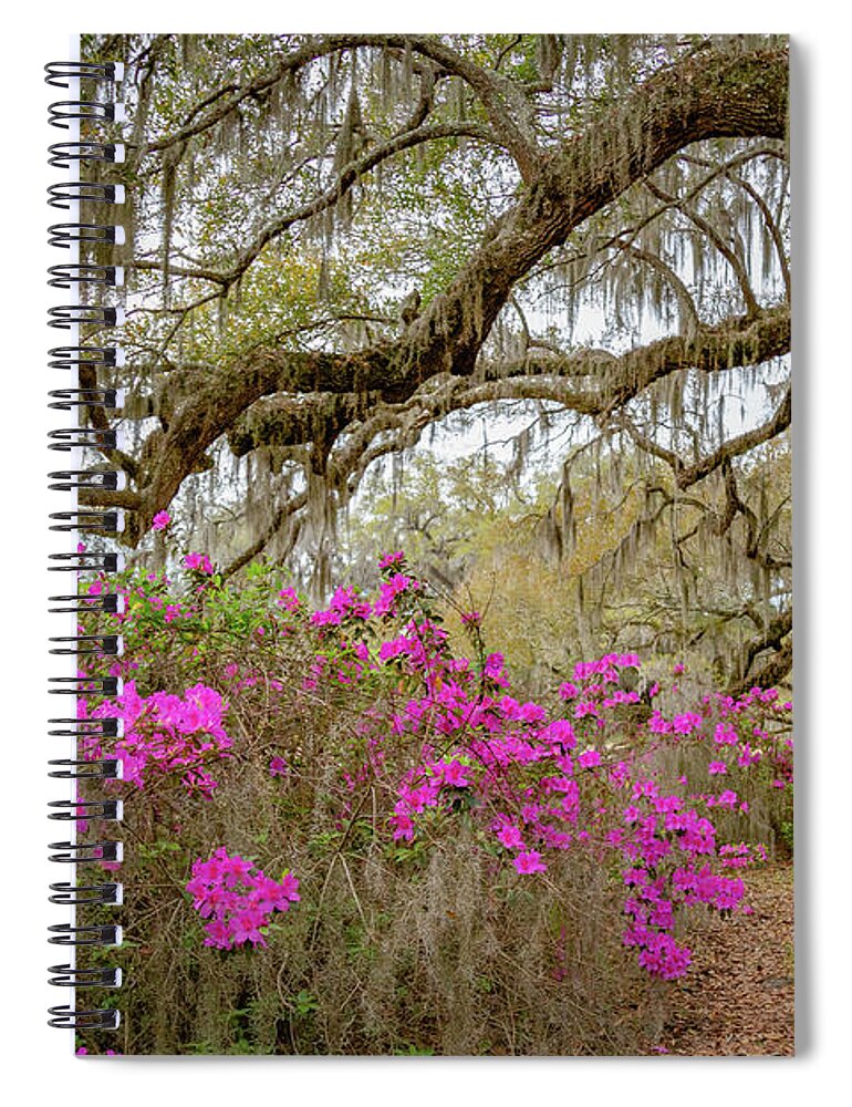 Flowers Spiral Notebook featuring the photograph Avenue of Oaks in Spring #1 by Cindy Robinson