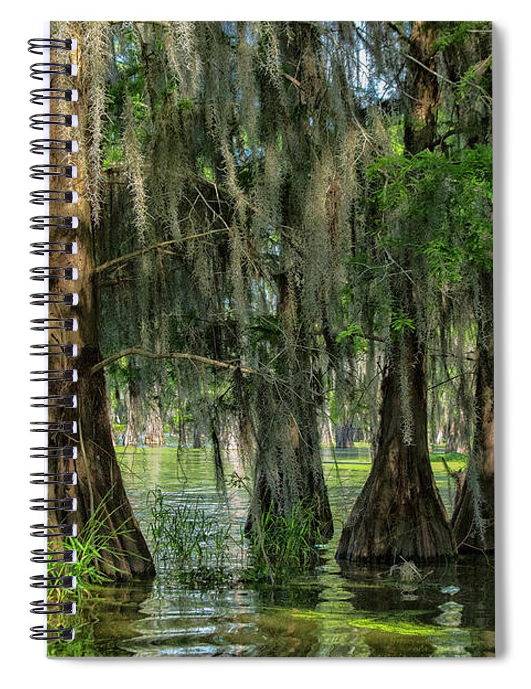 America Spiral Notebook featuring the photograph Bald cypresses, Lake Martin, Louisiana by Patricia Hofmeester
