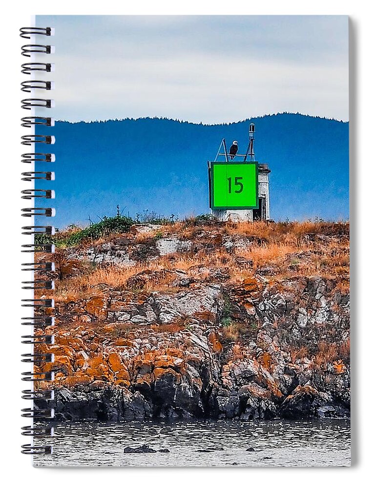  Spiral Notebook featuring the photograph Bald Eagle #1 by Grey Coopre