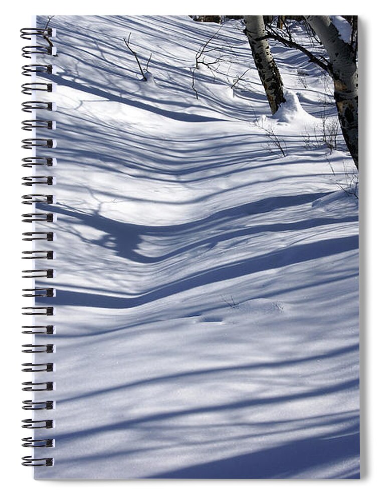 Nature Spiral Notebook featuring the photograph Bare white aspens and shadows #1 by Steve Estvanik