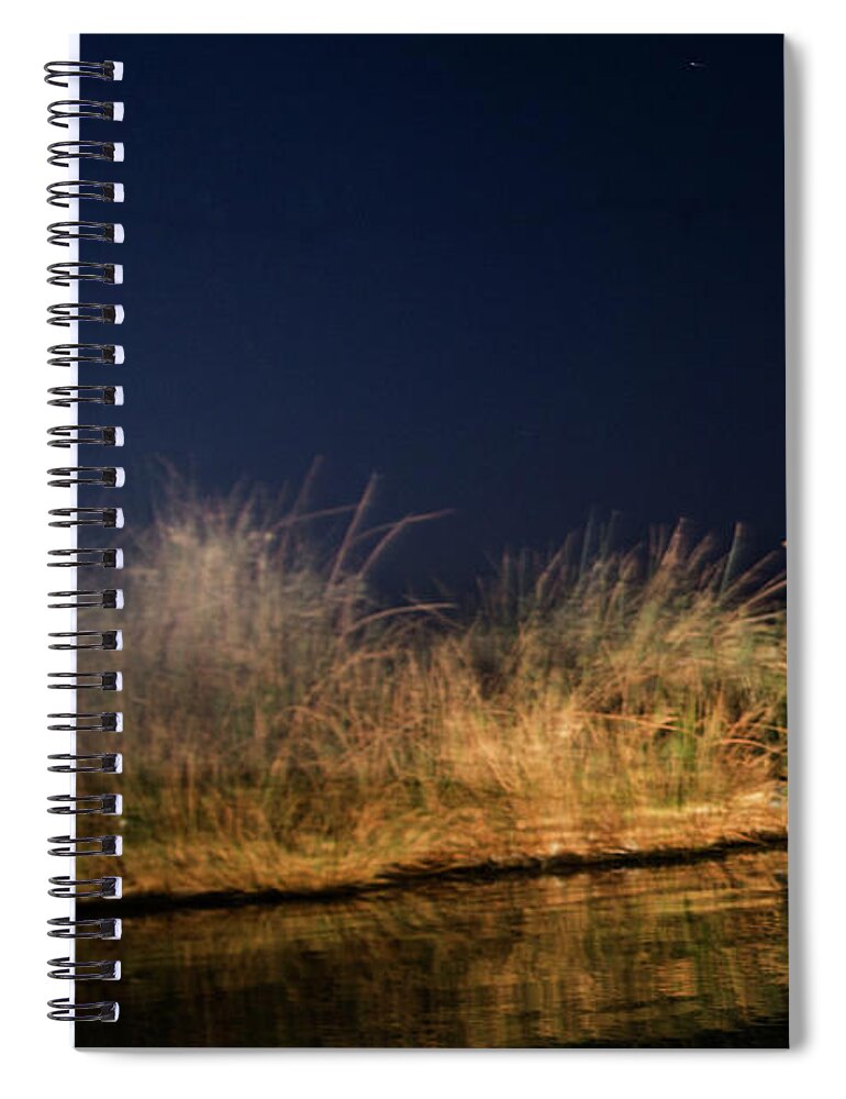 Bat Spiral Notebook featuring the photograph Bats of Death Valley by Joseph Philipson