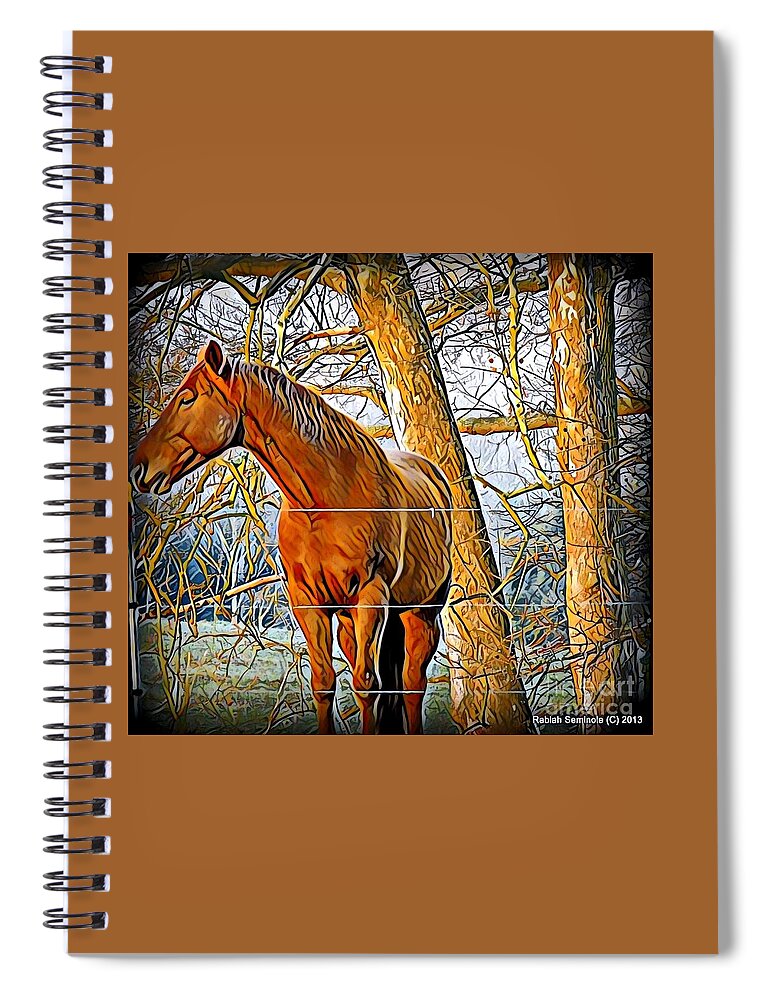 Horse Spiral Notebook featuring the photograph Beautiful Dreamer #1 by Rabiah Seminole