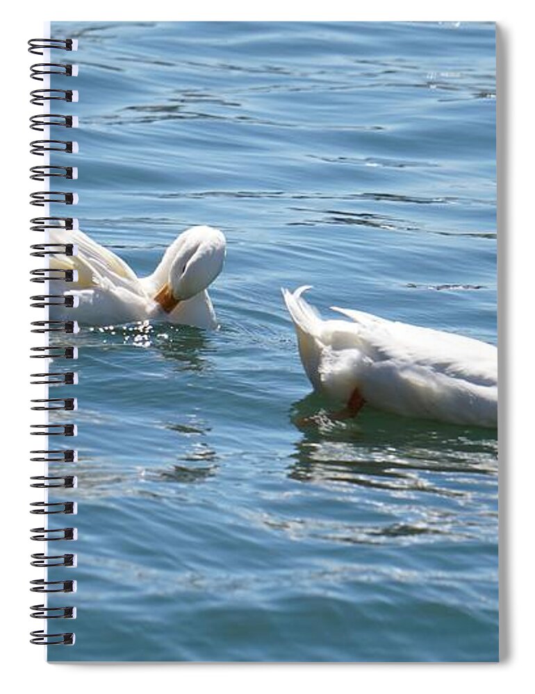  Spiral Notebook featuring the photograph Beauty In The Water by Demetrai Johnson