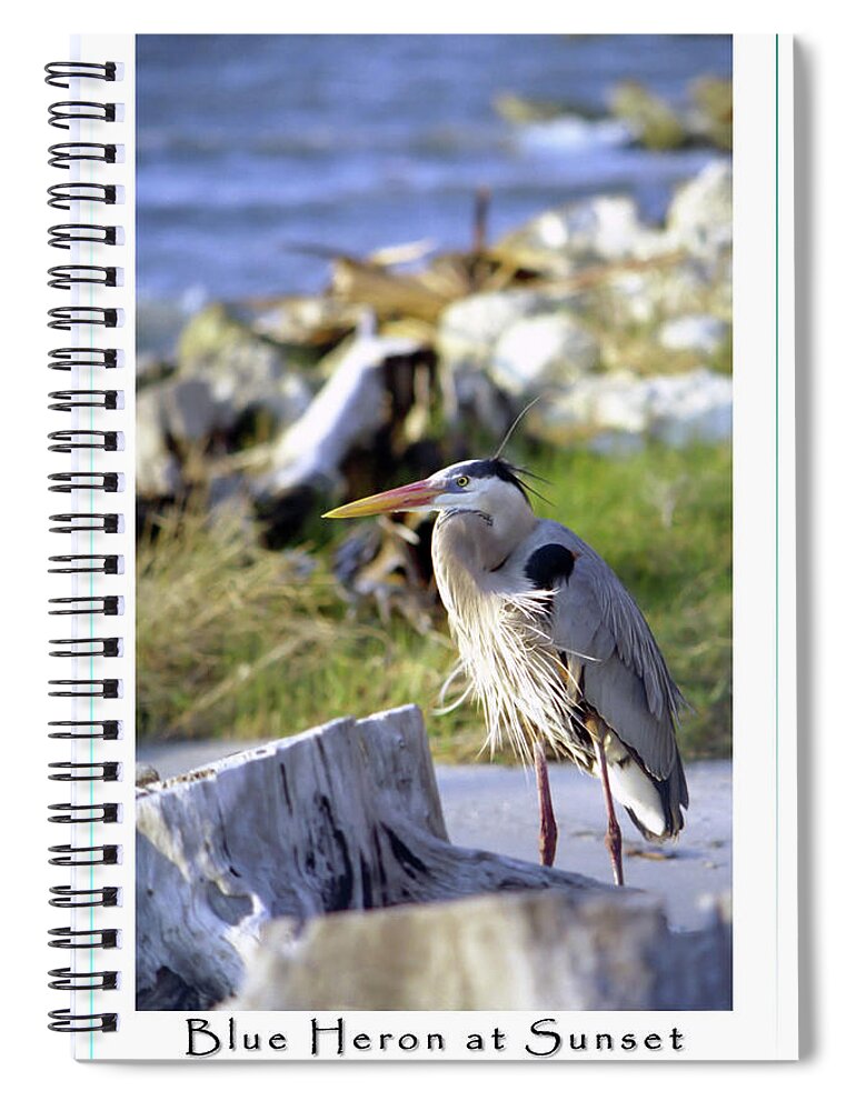 Waterfront Spiral Notebook featuring the photograph Blue Heron at Sunset #1 by Robert Harris