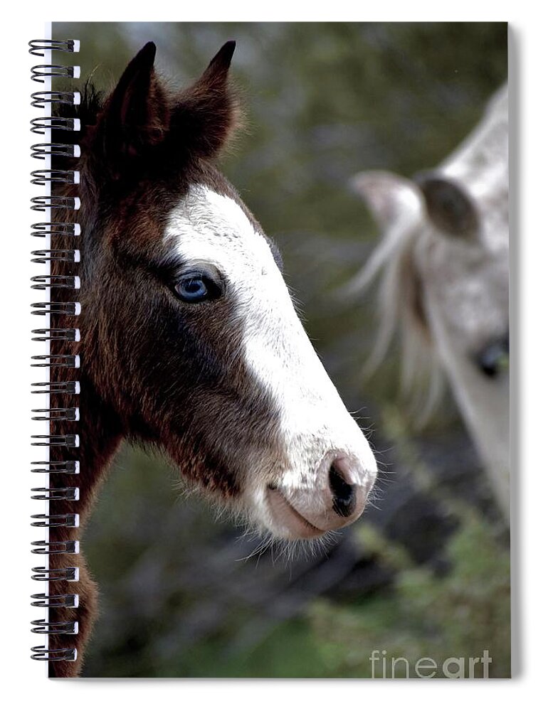 Salt River Wild Horses Spiral Notebook featuring the digital art Blue #1 by Tammy Keyes