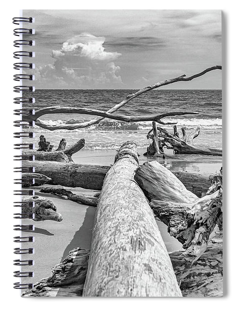 St Phillips Island Spiral Notebook featuring the photograph Boneyard beach #1 by Patricia Schaefer