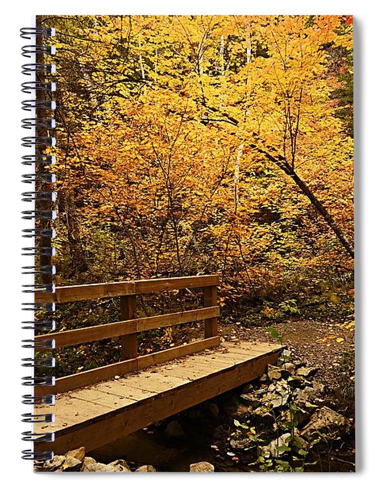 Landscape Spiral Notebook featuring the photograph Bridge to Autumn #1 by Larry Ricker