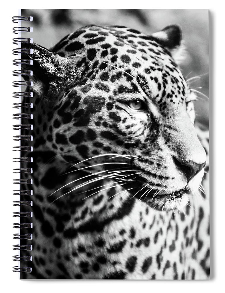 Cheetah Spiral Notebook featuring the photograph Cheetah #1 by Michelle Wittensoldner