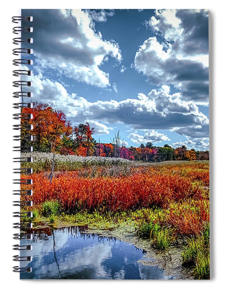  Foliage Spiral Notebook featuring the photograph Colors of autumn 8 #1 by Lilia S