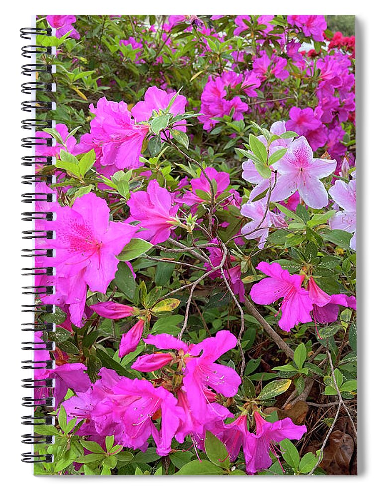Hope Spiral Notebook featuring the photograph Colors of Hope #1 by Matthew Seufer
