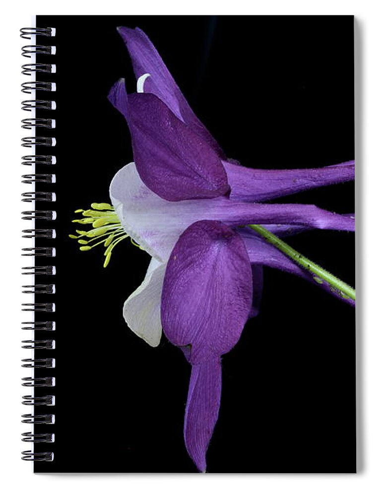 Floral Spiral Notebook featuring the photograph Columbine 781 by Julie Powell