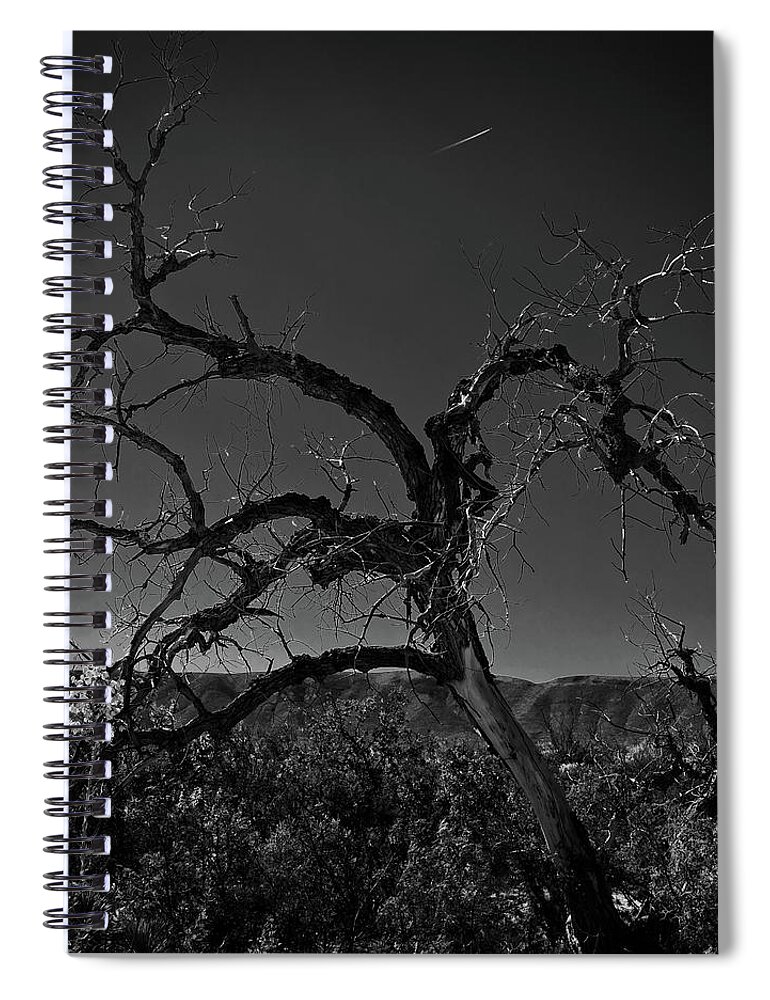 Tree Spiral Notebook featuring the photograph Desert Floor by George Taylor