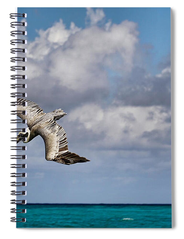 Pelican Spiral Notebook featuring the photograph Diving Pelican #2 by Montez Kerr