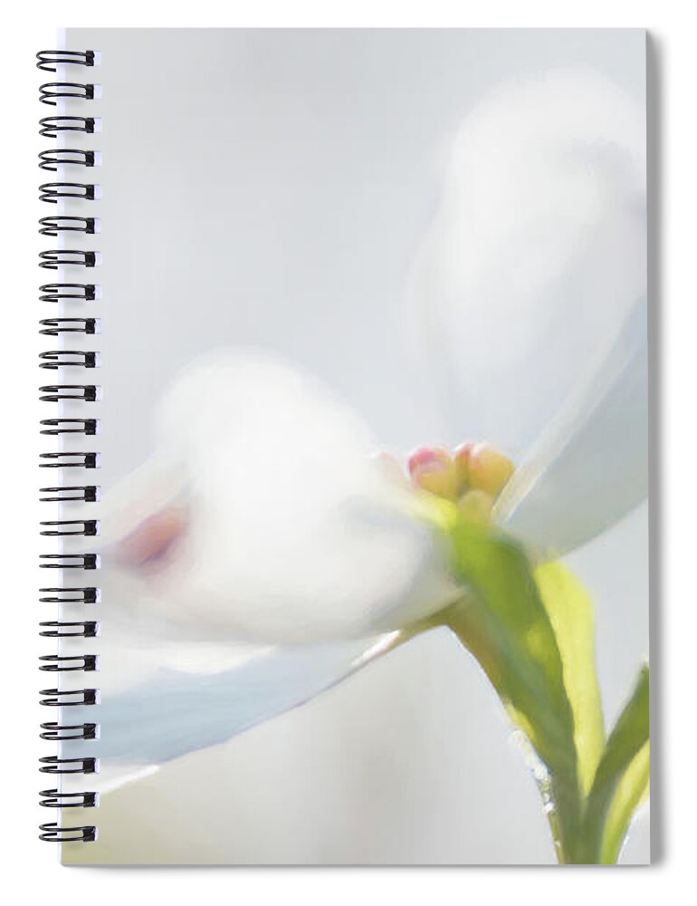 Nature Spiral Notebook featuring the photograph Dogwood #1 by Linda Shannon Morgan