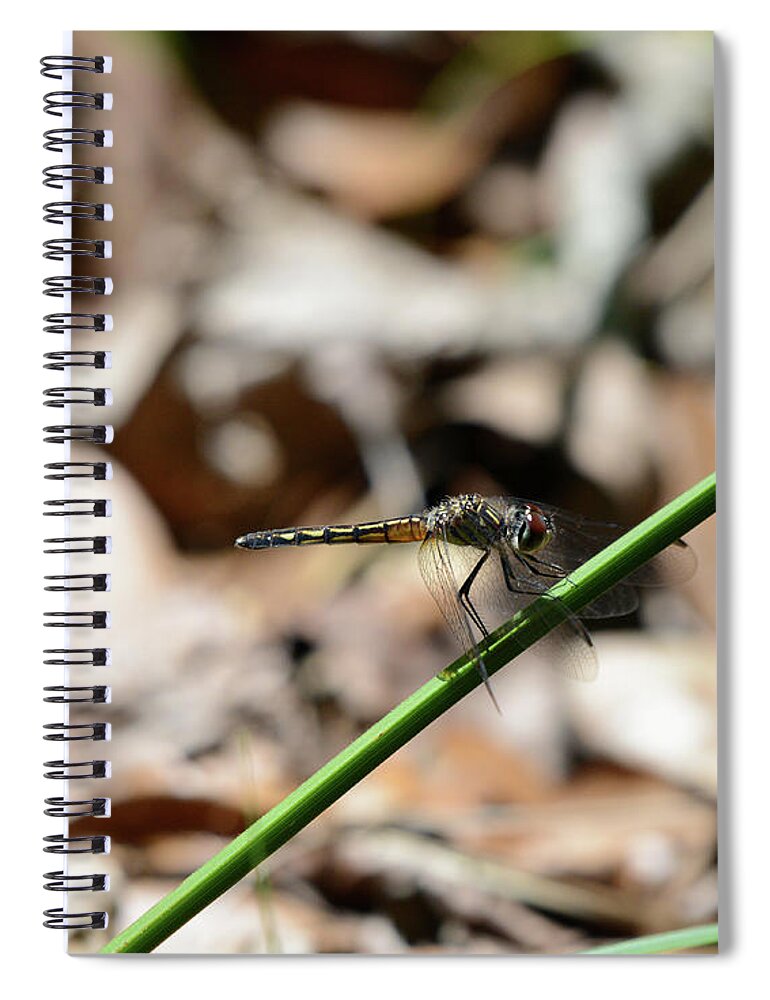 Dragonfly Spiral Notebook featuring the photograph Dragon #1 by David Armstrong
