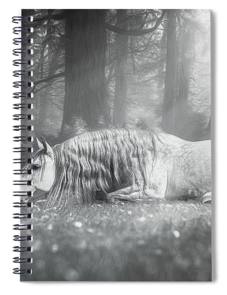 Horse Spiral Notebook featuring the photograph Dream impossible things #1 by Lisa Saint
