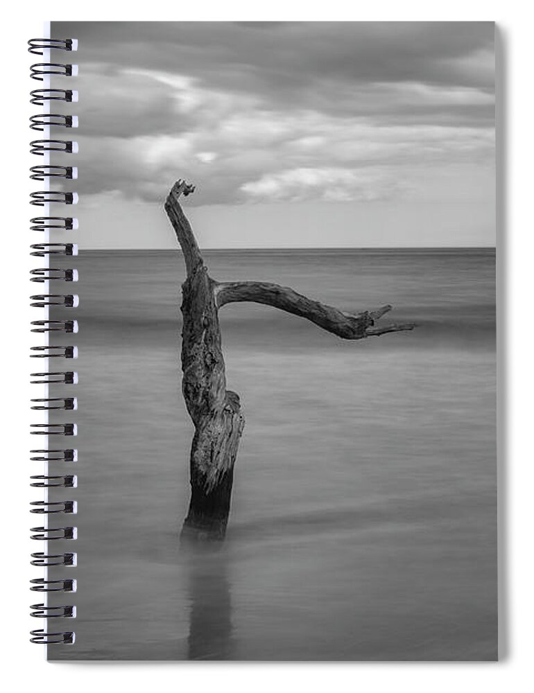 Black Spiral Notebook featuring the photograph Driftwood Beach in Black and White by Carolyn Hutchins