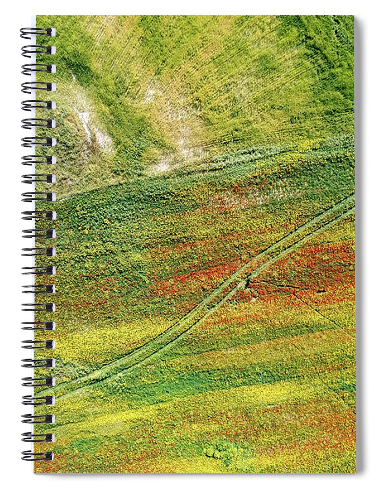 Spring Spiral Notebook featuring the photograph Drone aerial field with yellow blooming and red flowers. Spring landscape background #1 by Michalakis Ppalis