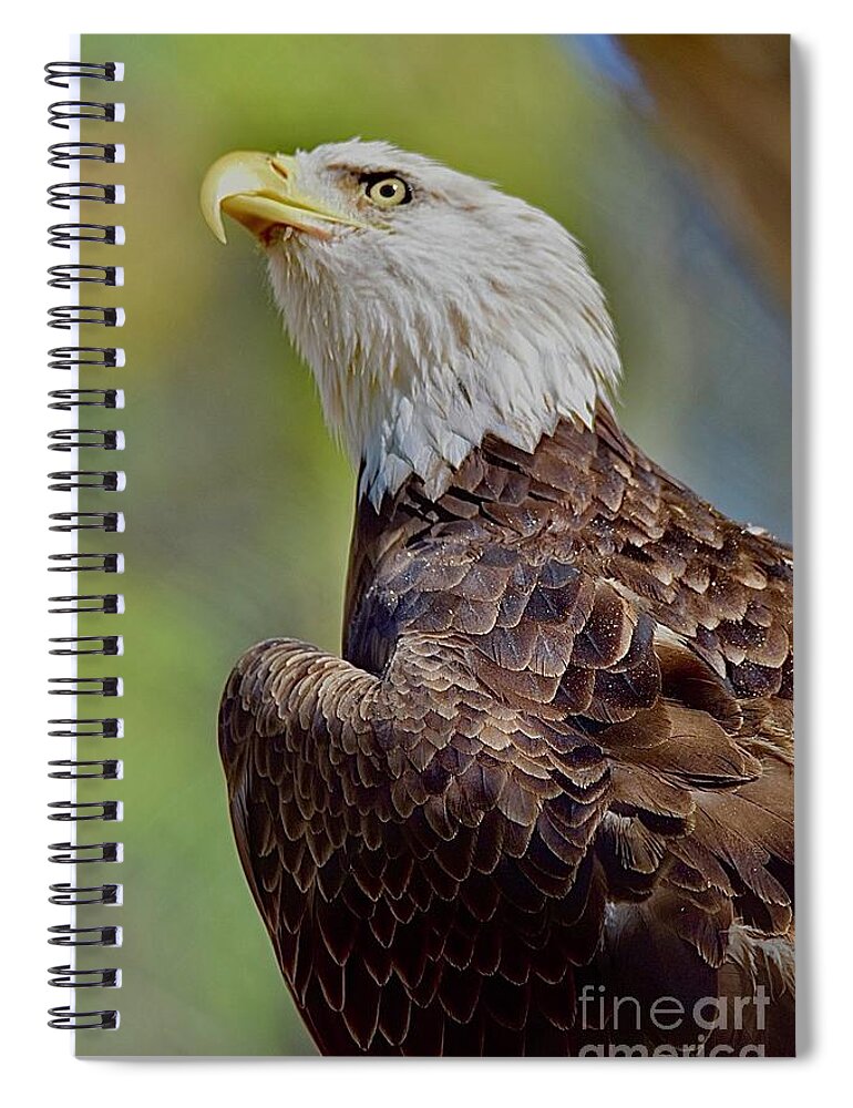 Eagle Spiral Notebook featuring the digital art Eagle #1 by Tammy Keyes