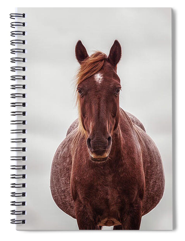 New Forest Pony Spiral Notebook featuring the photograph Ela - Horse Art by Lisa Saint