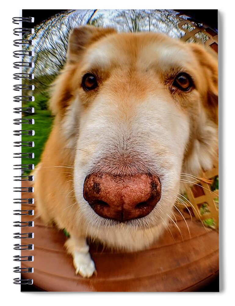  Spiral Notebook featuring the photograph Extreme Closeup by Brad Nellis