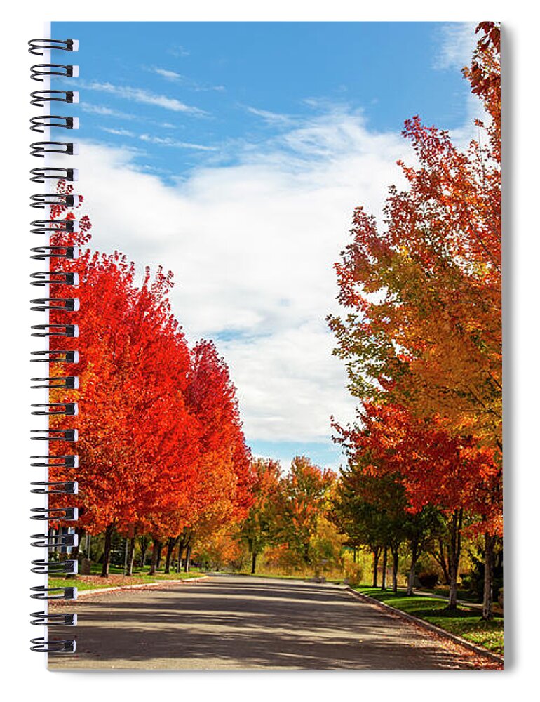 Fall Spiral Notebook featuring the photograph Fall Colors by Dart Humeston