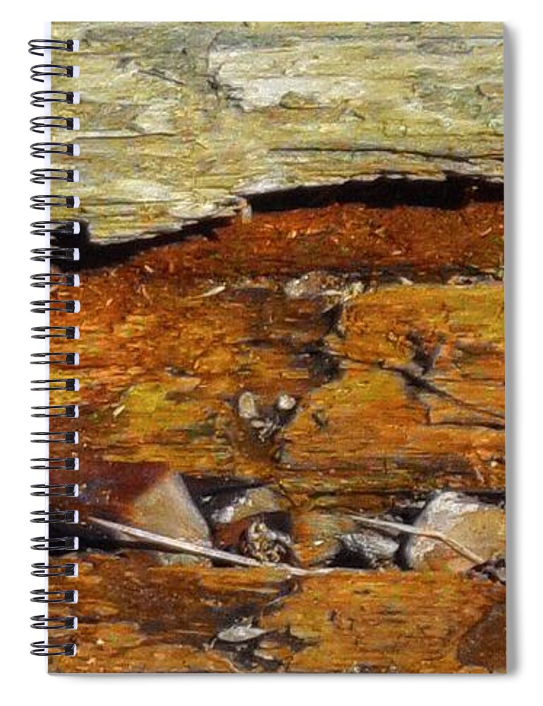 Tree Spiral Notebook featuring the mixed media Fallen Tree by Christopher Reed