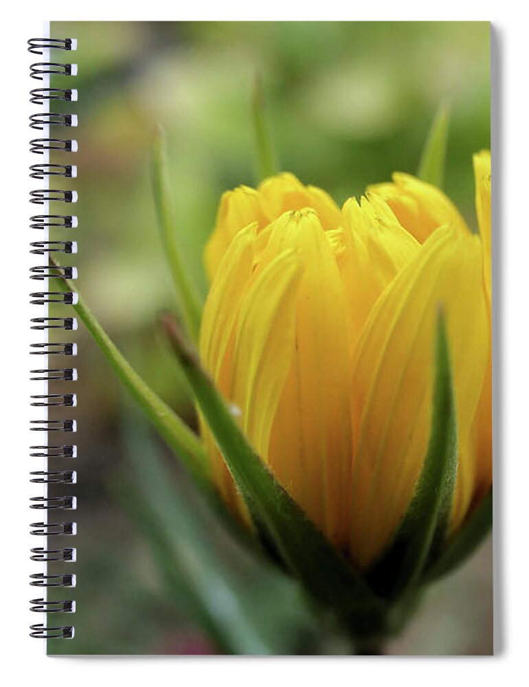 Flower Spiral Notebook featuring the digital art Flower #3 by Pal Szeplaky