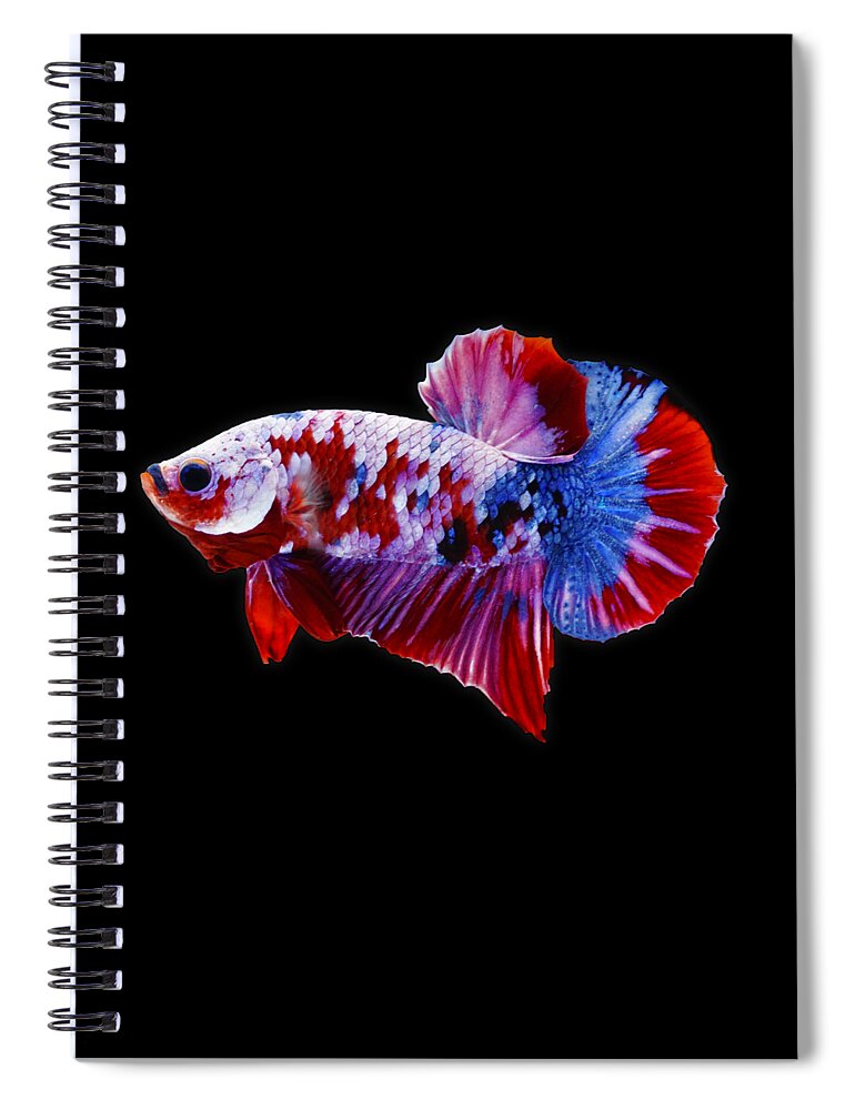 Betta Spiral Notebook featuring the photograph Galaxy Koi Betta Fish by Sambel Pedes
