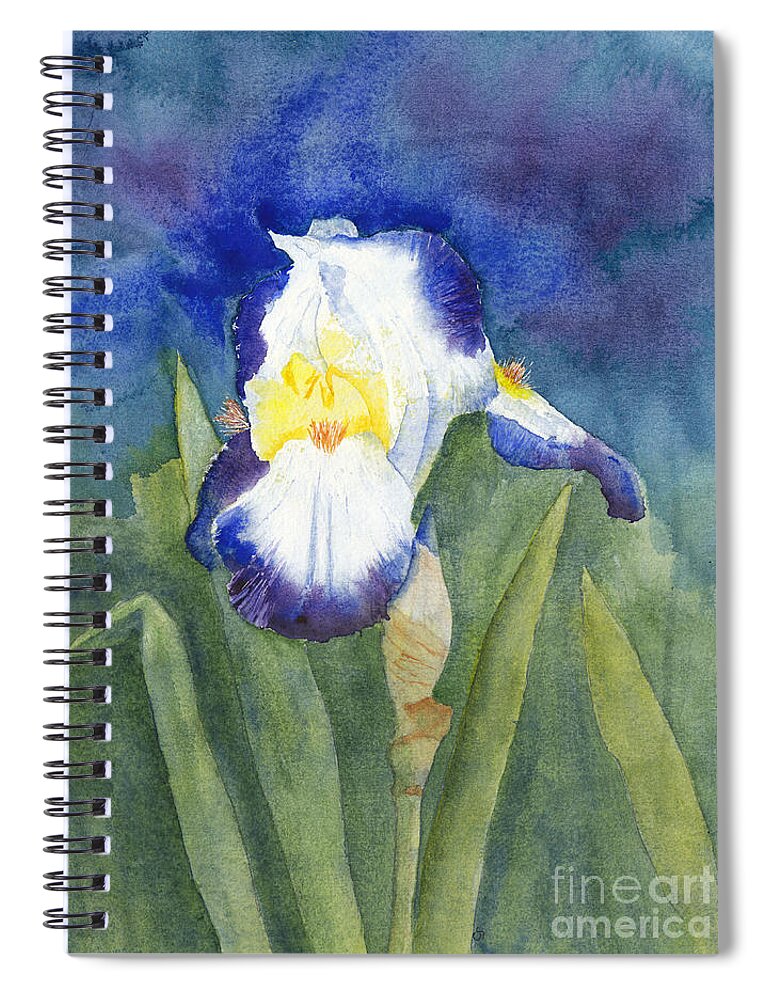 Iris Spiral Notebook featuring the painting Glowing Evening Iris Watercolor #2 by Conni Schaftenaar