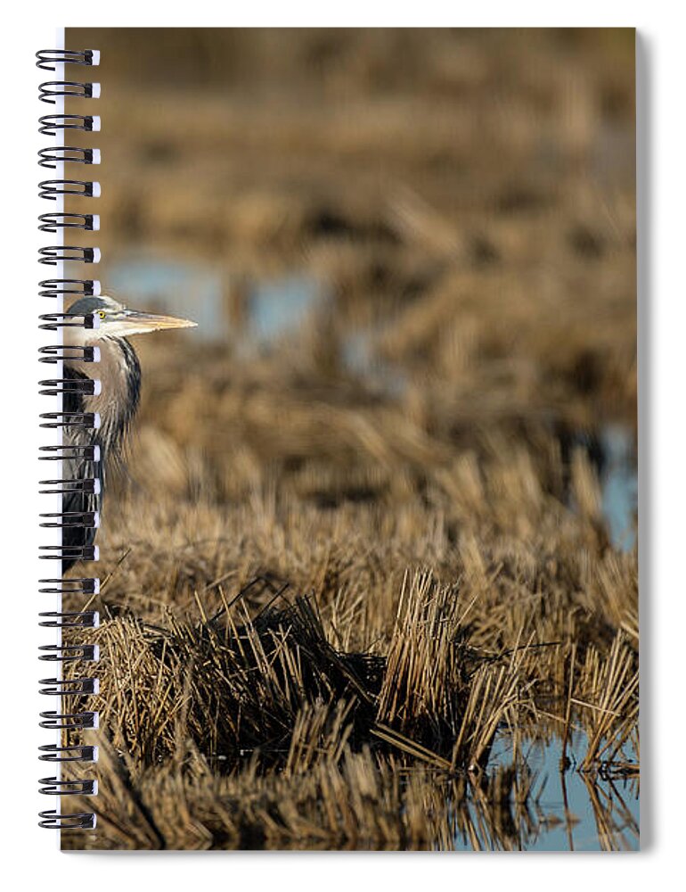 Alert Spiral Notebook featuring the photograph Great blue heron #1 by Mike Fusaro