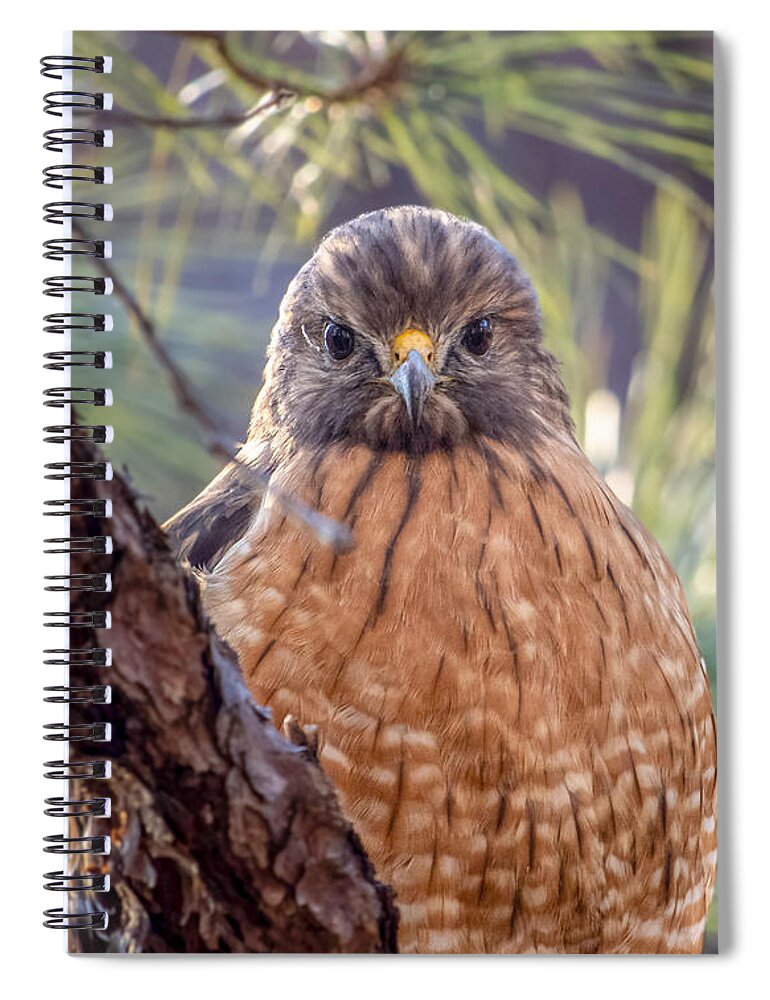 Bird Spiral Notebook featuring the photograph I See You #1 by Rick Nelson