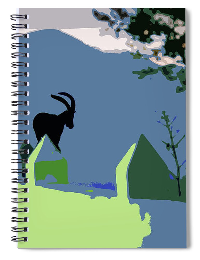 Art Spiral Notebook featuring the photograph Ibex at dawn #1 by Gary Browne