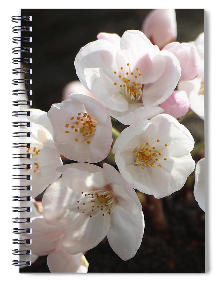 Nature Spiral Notebook featuring the mixed media In Harmony #1 by Marvin Blaine