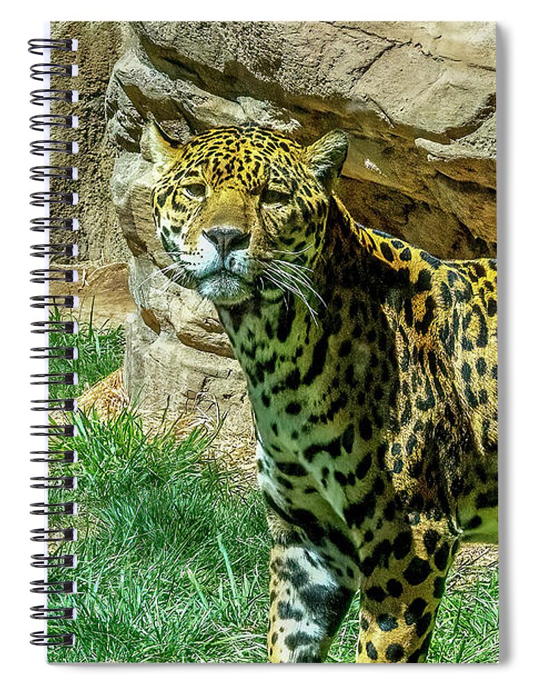 Sedona Spiral Notebook featuring the photograph Jaguar #2 by Al Judge