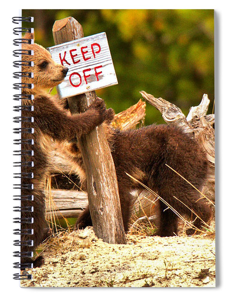  Spiral Notebook featuring the photograph Keep Off Mask #2 by Adam Jewell
