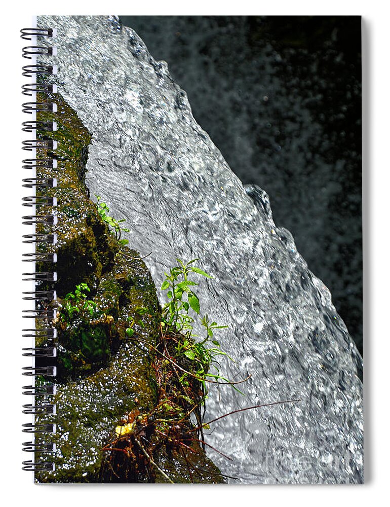 Laurel Falls Spiral Notebook featuring the photograph Laurel Falls 5 #1 by Phil Perkins