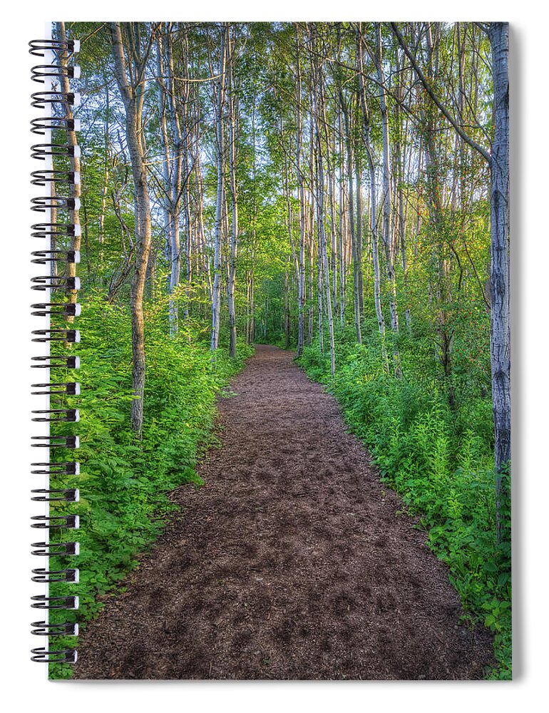 Path Spiral Notebook featuring the photograph Lead the Way by Brad Bellisle