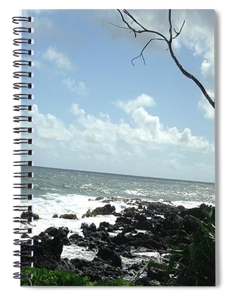  Spiral Notebook featuring the painting Lisloffinna by Trevor A Smith
