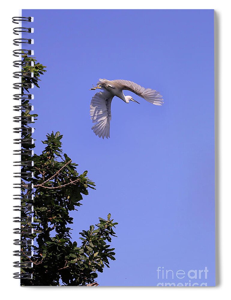 Wildlife Spiral Notebook featuring the photograph Egret in Flight by Terri Waters