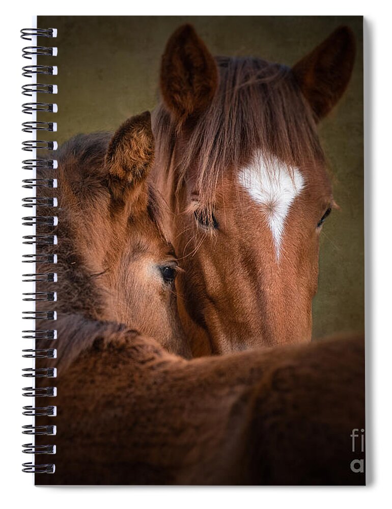 Horse Spiral Notebook featuring the photograph Mare and Foal #1 by Lisa Manifold