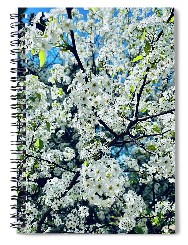 Springtime Spiral Notebook featuring the photograph New Beginnings #1 by Matthew Seufer