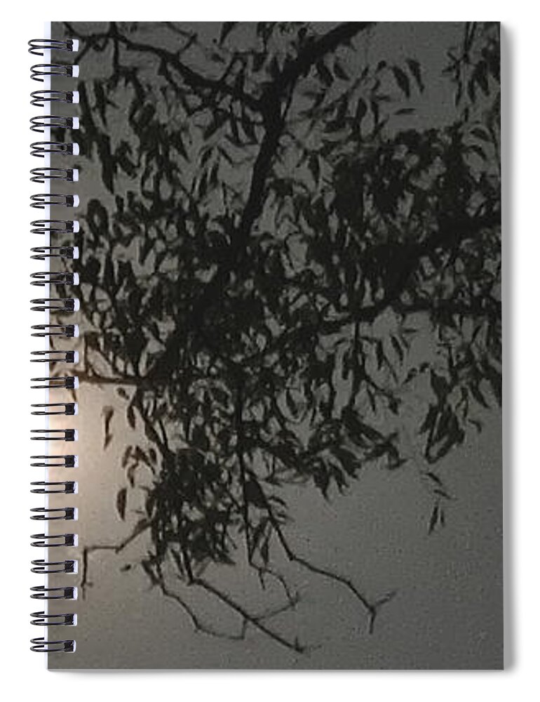 Landjavascript: Confirmdeleteimage('61984c9f64c8b');scape Abstractions Spiral Notebook featuring the photograph On A Full Moon Day #1 by Anand Swaroop Manchiraju