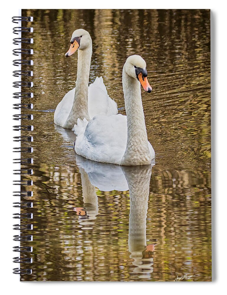 Mute Swan Spiral Notebook featuring the photograph Golden Pond by Jurgen Lorenzen