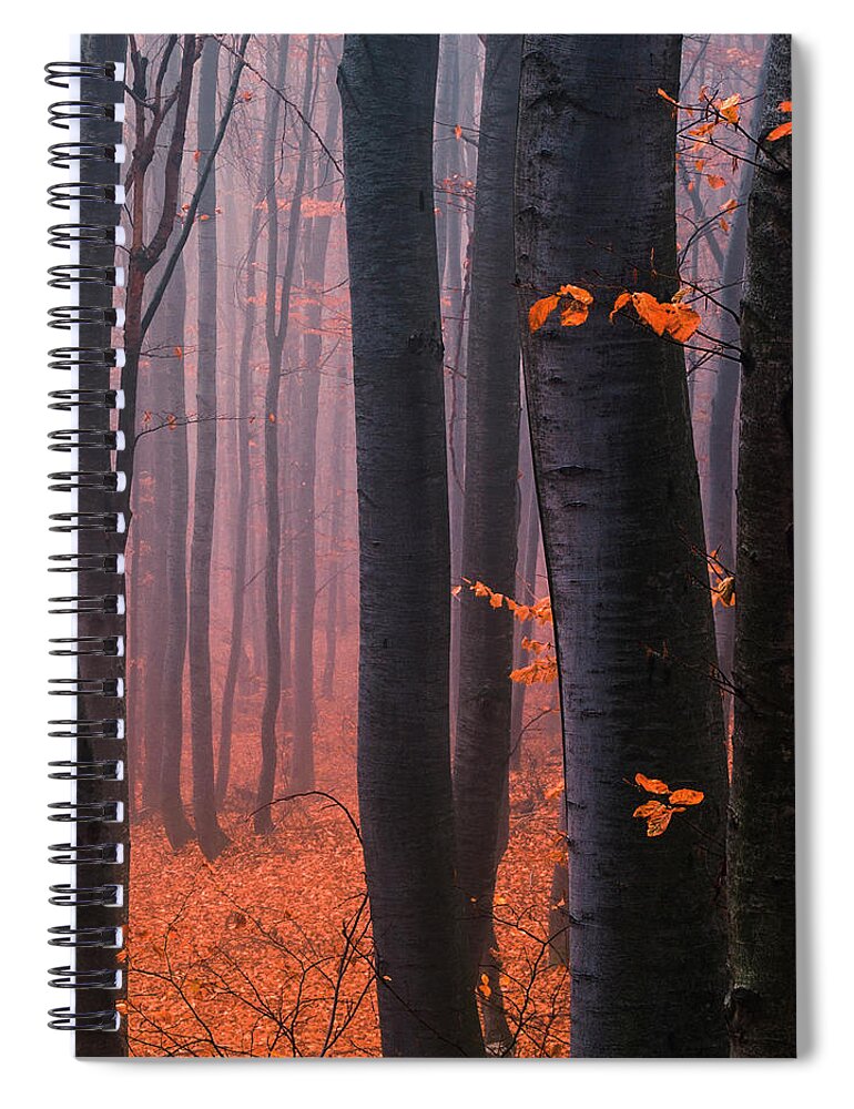 Mountain Spiral Notebook featuring the photograph Orange Wood by Evgeni Dinev